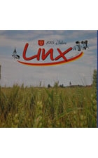 Linx – 875 Jahre